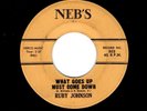 DEEP SOUL-RUBY JOHNSON-WHAT GOES UP MUST COME DOWN/I WANT A REAL MAN-NEB'S 503