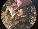 LP 33 giri Picture Disc - Madonna Music 12