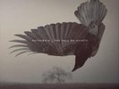 Katatonia The Fall of Hearts (Vinyl) 12