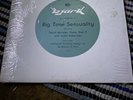 Bjork Big Time Sensuality Remixes Indie Pop Progressive House 1993 0-66244