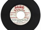 MAVLINKS / BY THE SWEAT OF YOUR BROW / VERSION / YOUTHS  PROFESSIONALS / 7''
