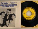The Jamies / Summertime, Summertime / Epic  45 w PS / Great