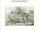 NORMIL HAWAIIANS - Empires Into Sand - Vinyl (LP)