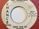 TEDDY & HIS PATCHES Suzy Creamcheese From Day To Day Garage Psych Chance 668 45