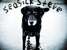 Seasick Steve You Can't Teach an Old Dog New Tricks (Vinyl) 12