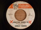 Sunday Funnies  Whatcha Gonna Do/A Pindaric Ode RARE  Garage, Soul 1967 Valhalla