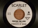 Syndicate Of Sound  Prepare For Love/Tell The World Promo 1966 Scarlet Garage
