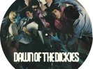The Dickies - Dawn Of The Dickies Vinyl LP Picture Disc Captain Oi New Rare