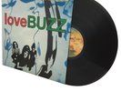 The Hummingbirds Vinyl Record Love Buzz LP Plus Inner Sleeve