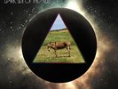Dark Side of the Mule by Gov't Mule (Record, 2014)
