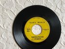 THE HAUNTED , rock GARAGE PUNK 60'S CANADA