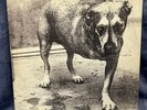 Alice in Chains Self-Titled (1995) 2LP Vinyl Tripod Used *Rare* 1st Pressing VG+