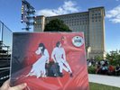 INCREDIBLY LIMITED WHITE STRIPES ELEPHANT DETROIT CENTRAL STATION EDITION