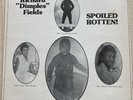RICHARD DIMPLES FIELDS SPOILED ROTTEN LP RARE PRIVATE SOUL FUNK Vinyl Record