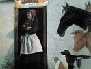 Vashti Bunyan Just Another Diamond Day (Vinyl) Limited  12