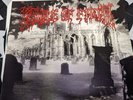 Cradle Of Filth Scars And Stipes Tour 1999