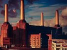 LP PINK FLOYD 