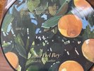 Lana Del Rey - Violet Bent Backwards Over The Grass - Vinyl LP Picture Disc NEW