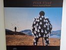 Pink Floyd Delicate Sound Of Thunder Doppel LP 2xVinyl  1988