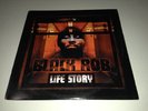 Black Rob - Life Story - 2x LP Vinyl Record, 2004, Bad Boy Entertainment