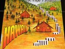 THE HIGH LLAMAS Hawaii Vinyl 2 LP Alpaca Park 1996