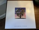 Talk Talk - Laughing Stock Vinyl LP  (Polydor, 2016 180g European Reissue)