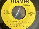 The Echoes Of Carnaby Street Baby Doesn’t Know Rare 1960s Garage Psych Rare EX