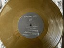 Murder By Death WHO WILL SURVIVE 2x10” Vinyl LP | GOLD, 500 Pressed