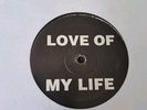Dr Who aka Dougal - Love Of My Life - Rare Single Sided Happy Hardcore 1996