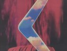 APHEX TWIN - Digeridoo (Expanded Version) - Vinyl (double 12