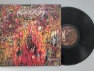 NOTHINGNESS (us) - Supraliminal - LP - DEATH METAL