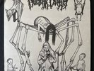 Nuclear Death – Bride Of Insect - Vinyl, LP, Album - Wild Rags Records – WRR-017