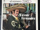 VICENTE FERNANDEZ 