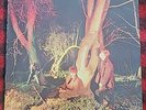 ECHO AND THE BUNNYMEN: Crocodiles US Sire SRK 6096 New Wave Rock Vinyl LP