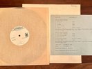 The Police - Outlandos D’Amour - 1978 US Test Pressing Rare Vinyl Record LP