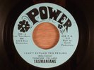 Tasmanians  I Can't Explain This Feeling/If I Don't RARE  FL Garage 1967 Power