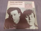 TEARS FOR FEARS The Interview Album VERTIGO 1985 Canada VG+ VINYL LP Record USED