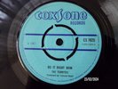 THE TERMITES - DO IT RIGHT NOW  (ROCKSTEADY)  45