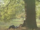 LENNON, John - Plastic Ono Band - Vinyl (2xLP)