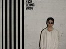 Noel Gallagher's High Flying Birds Chasing Yesterday (Vinyl) 12