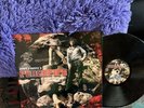 Peacepipe   LP   Psych   Acid Archives   Vinyl