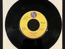 Undertones RARE US 7” Teenage Kicks b/w Smarter Than U - SIRE 49195 VG+