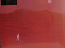 Still Corners - The Last Exit (LP, Album, Ltd, Cle) (Mint (M)) - 1390720792