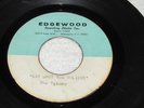 The Tytans - Say What You Believe - unknown unreleased acetate - garage - LISTEN