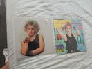 Madonna Borderline 7 Inch Vinyl Shaped Picture Disc and 12