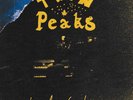 Twin Peaks | Orange Swirl Vinyl LP | Lookout Low  | Grand jury