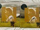 Noah Kahan - Stick Season - Limited Double LP Green Vinyl & SIGNED PRINT