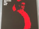 Noel Gallagher's High Flying Birds - The Dying Of The Light (Demo) -10