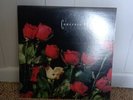 CONCRETE BLONDE Bloodletting LP 1990 IRS X1-13037 SUPER RARE NM Red Vinyl