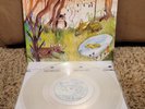 SIGNED Cavetown - Animal Kingdom Clear Vinyl LP Autographed Record New